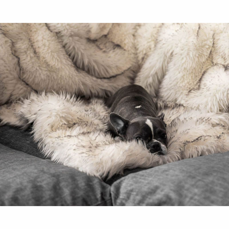 Unisex soft pet blanket with luxurious plush Bowlift