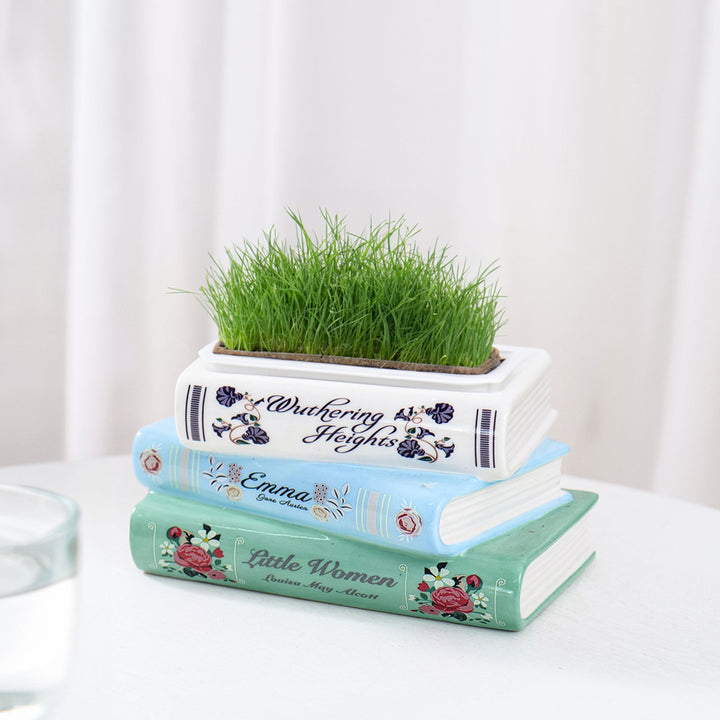 Decorative Storybook Collection