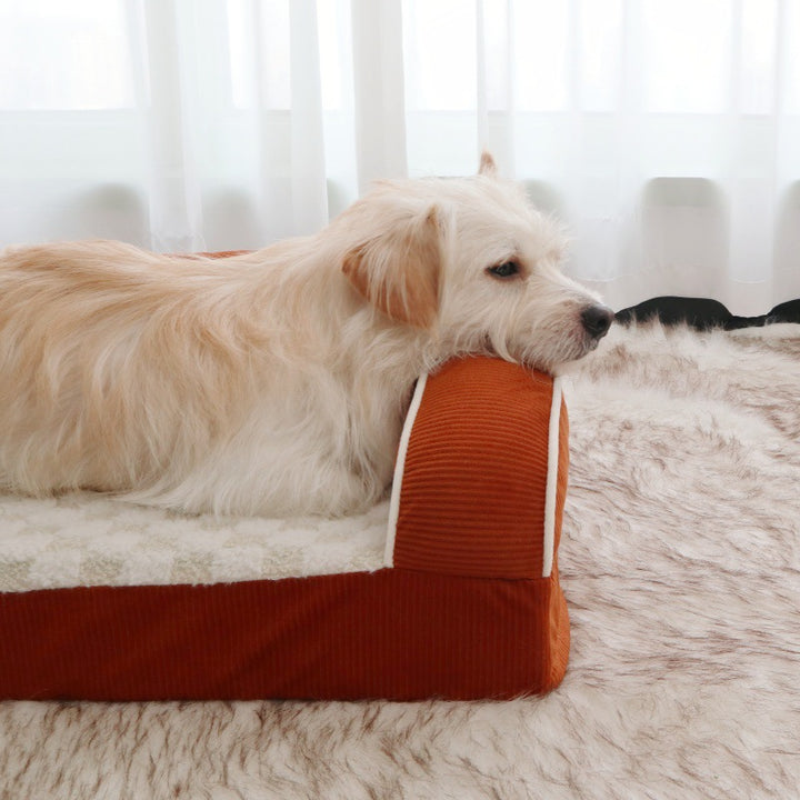 Orthopedic Bolstered dog Lounge