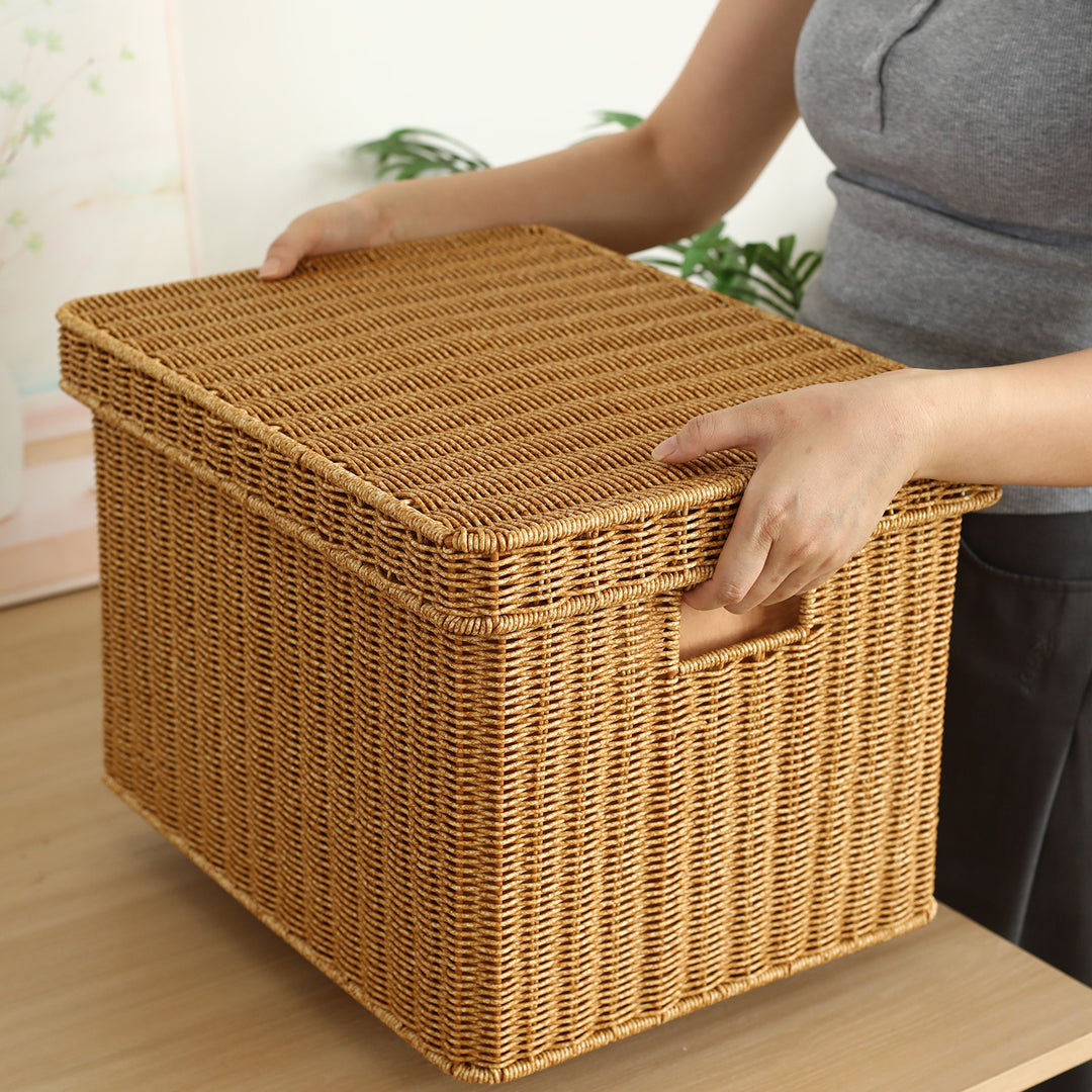 Handwoven Decorative Storage Chest Bowlift
