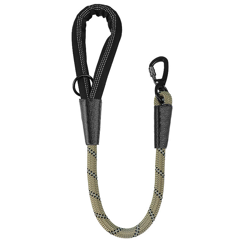 Dog Leash