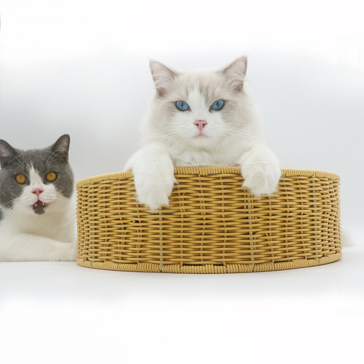 Cozy cat basket made of woven material Bowlift