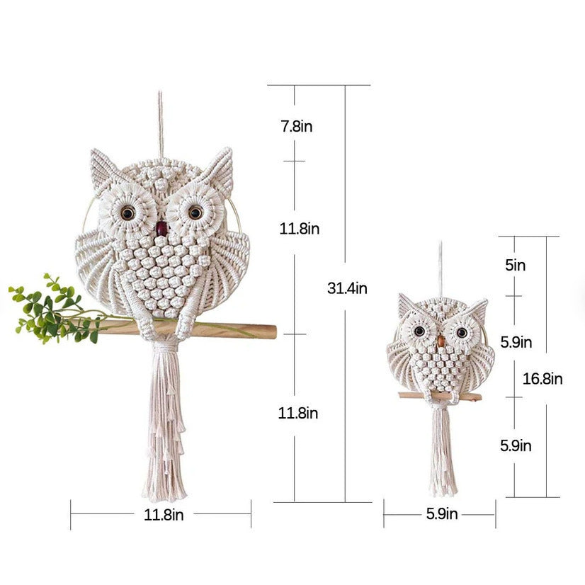 Artful Macrame Wall Hanging In Owl Shape Bowlift