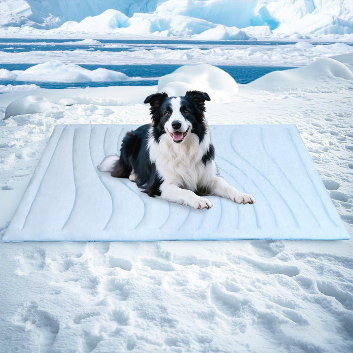 Tier Snuggle Blanket Bowlift