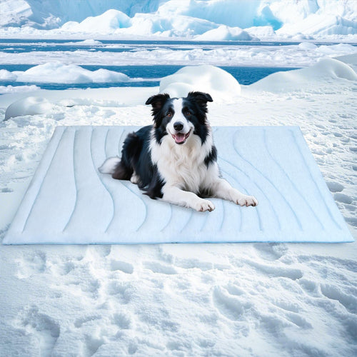 Tier Snuggle Blanket Bowlift
