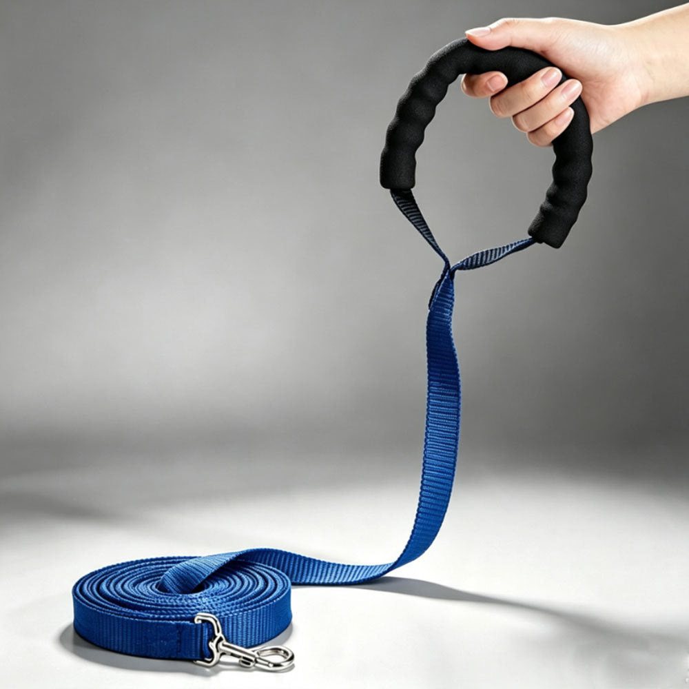 Dog Training