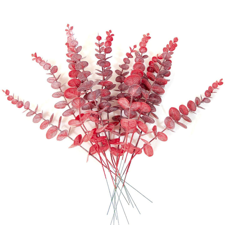 Decorative Eucalyptus Stem