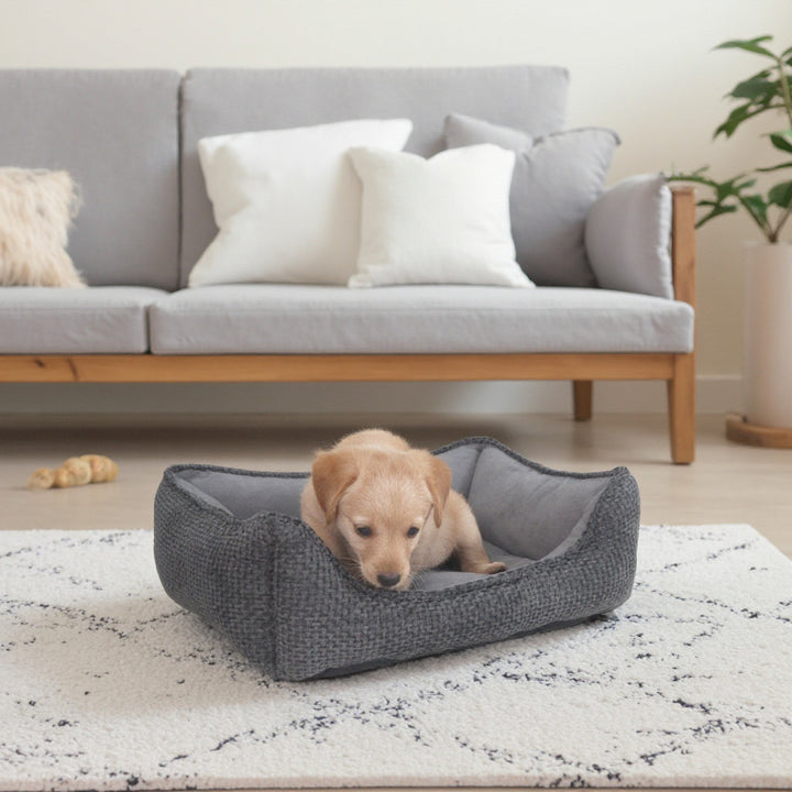 Dog bed