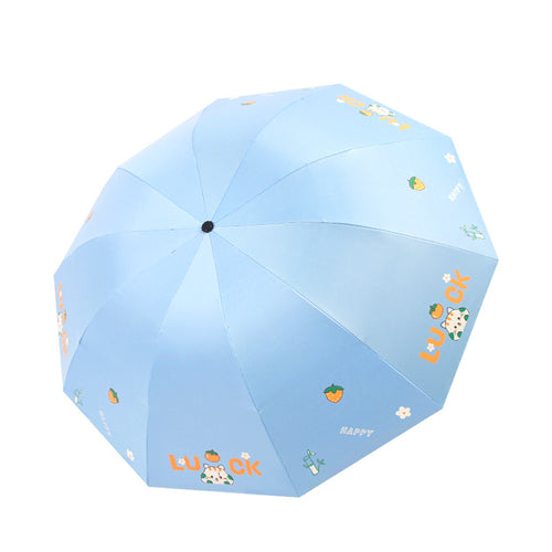 Women's Foldable Umbrella with Colorful Design Bowlift