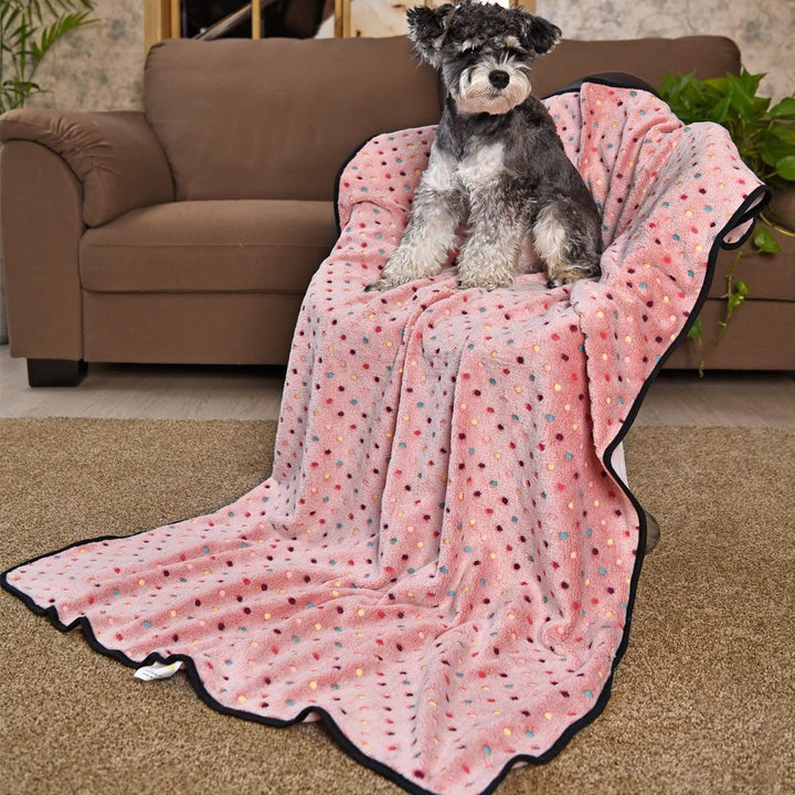 Ladies Cozy Microfiber Blanket with Playful Pattern Bowlift
