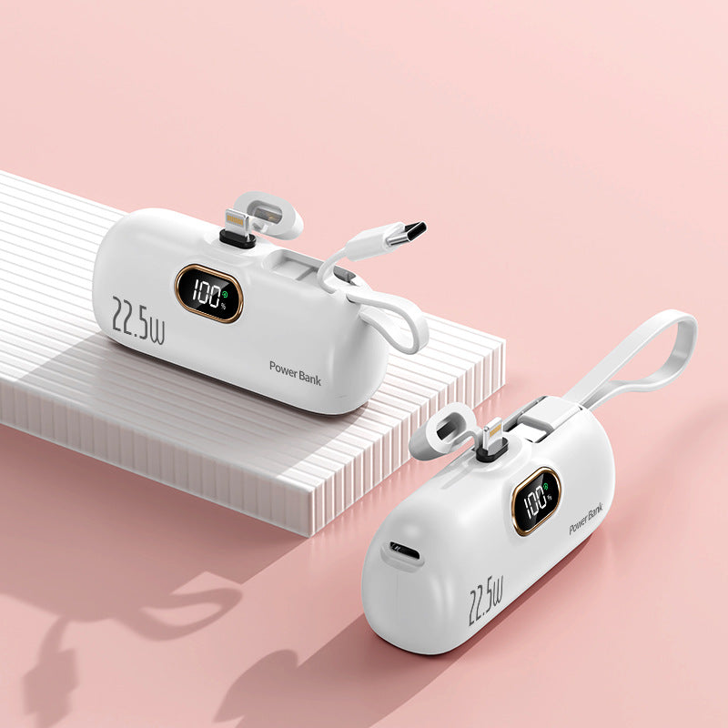 Portable power bank with fast charging cable and LED display Bowlift