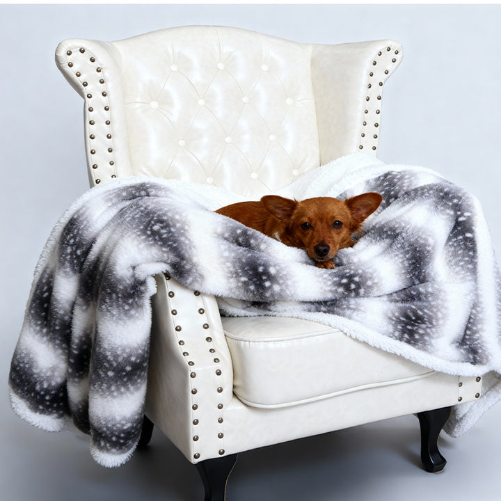 Women Cozy Dog Blanket with Soft Fleece and Modern Design Bowlift