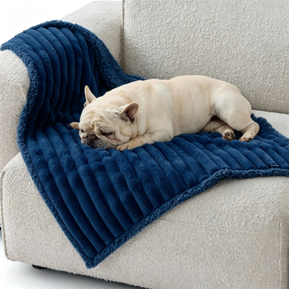 Cozy Textured Plush dog Blanket