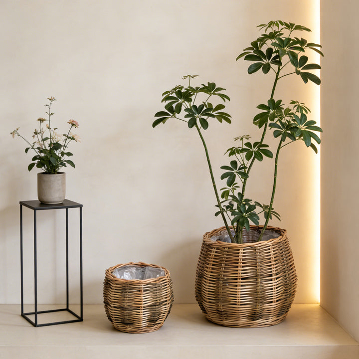 Handcrafted basket with natural flair Bowlift