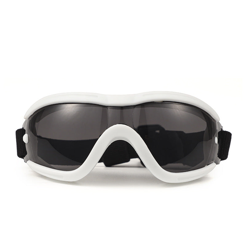 Pet Impact-Resistant Anti-Fog Motorcycle and Ski Protective Goggles Bowlift