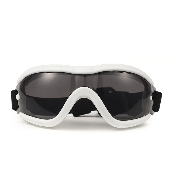 Pet Impact-Resistant Anti-Fog Motorcycle and Ski Protective Goggles Bowlift