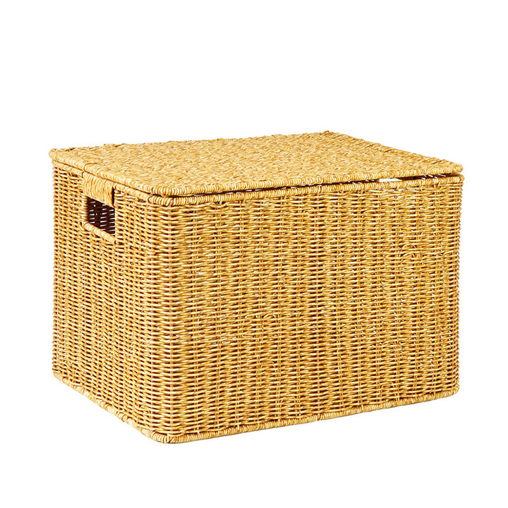 Ladies Generous Storage Basket with Lid Bowlift