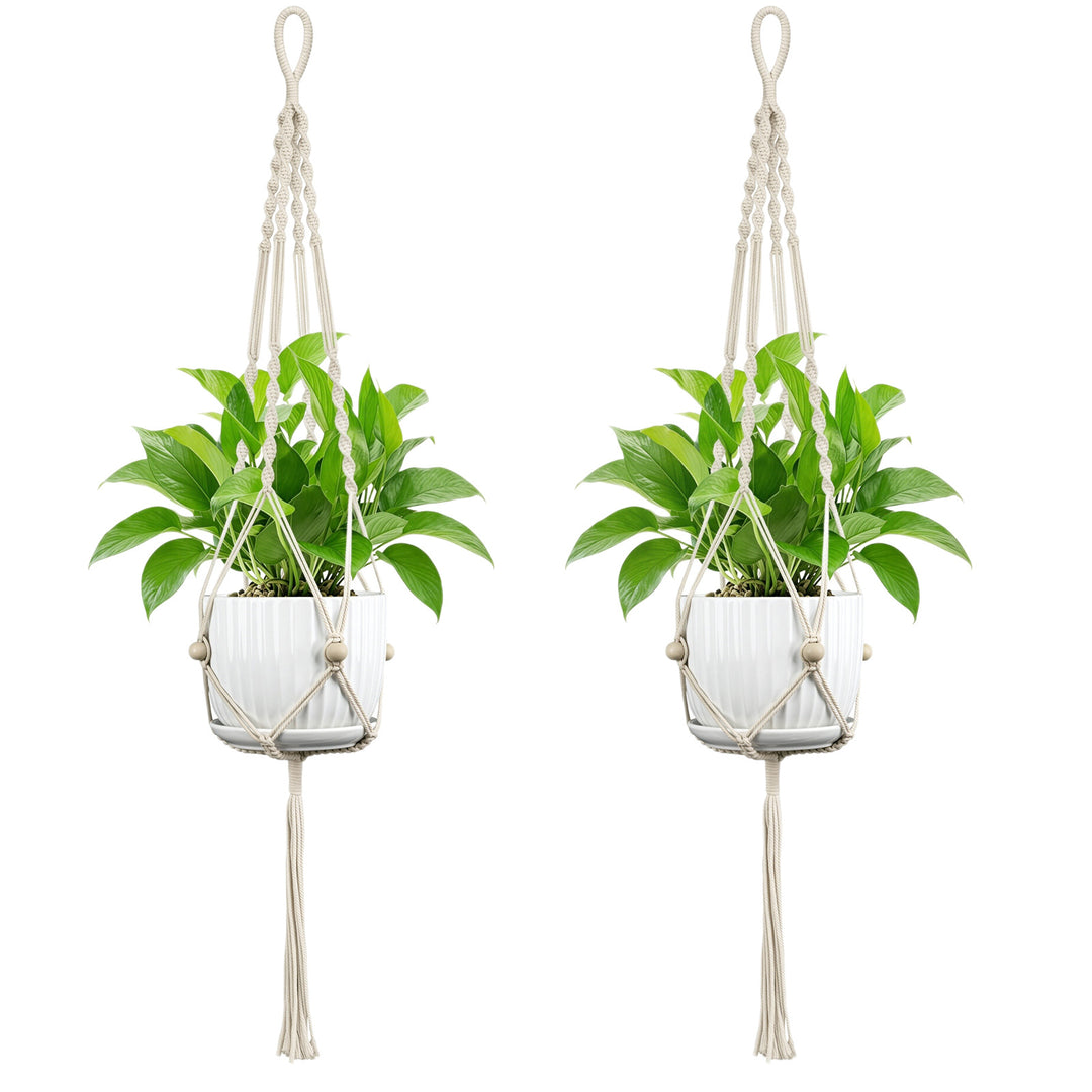 Plant Hanging Pot Bowlift