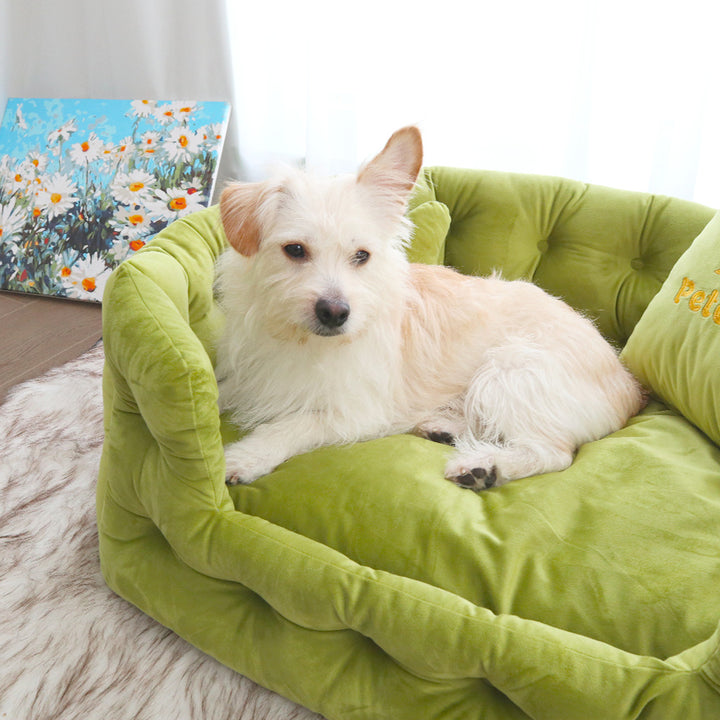 Plush Snuggle dog Sofa