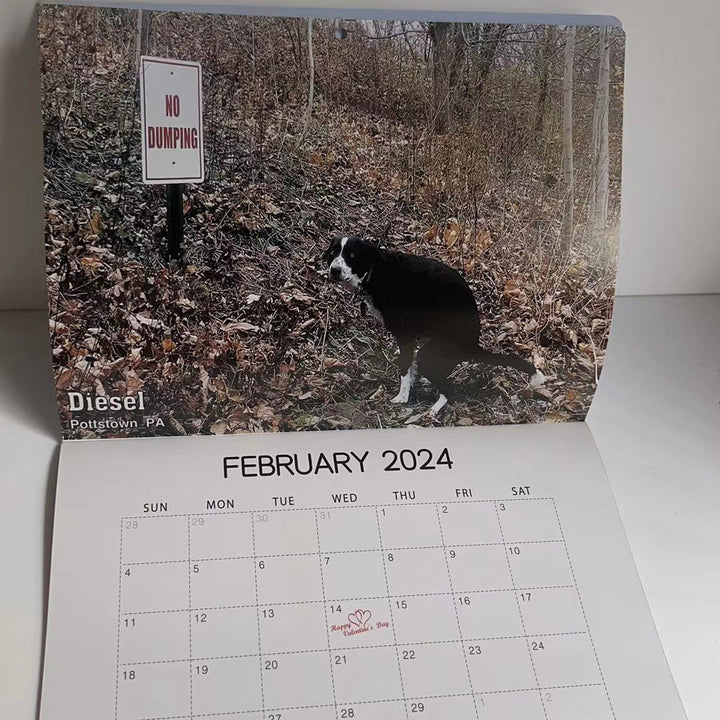 Funniest Calendar-Dogs Pooping in Beautiful Places | "Artistic Expression" of Furry Friends | Bowlift