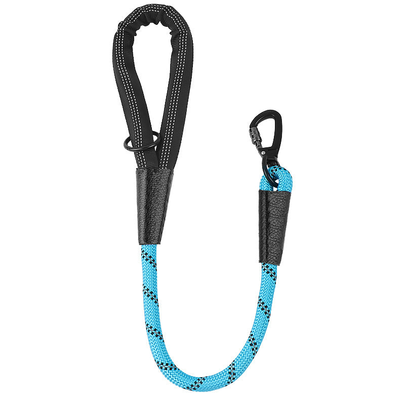 Dog Leash