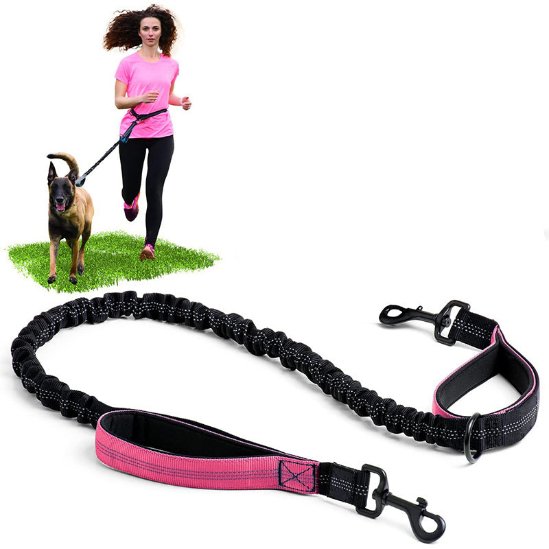 Bungee Dog Running Leash