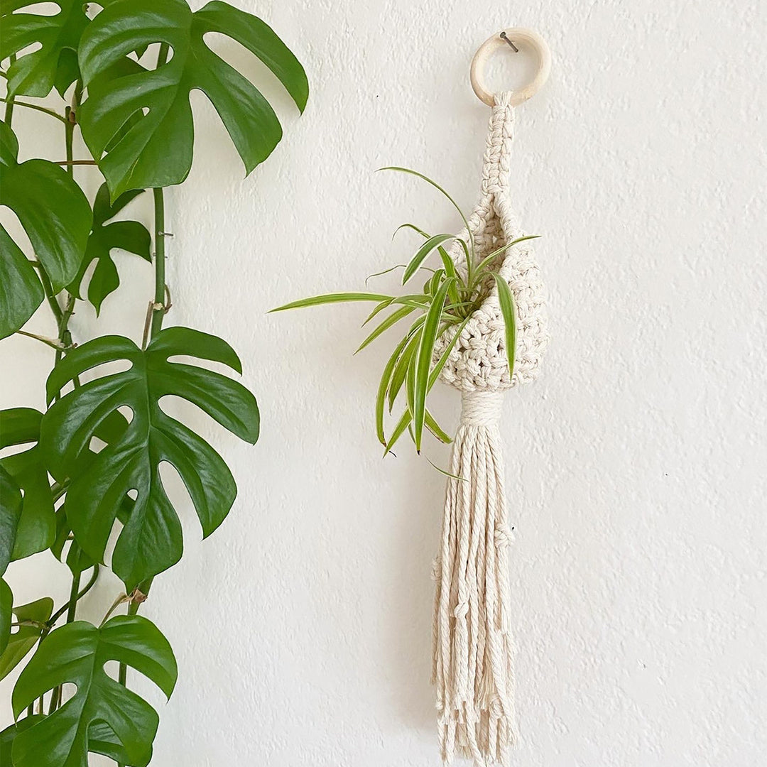 Bohemian Plant Holder Bowlift