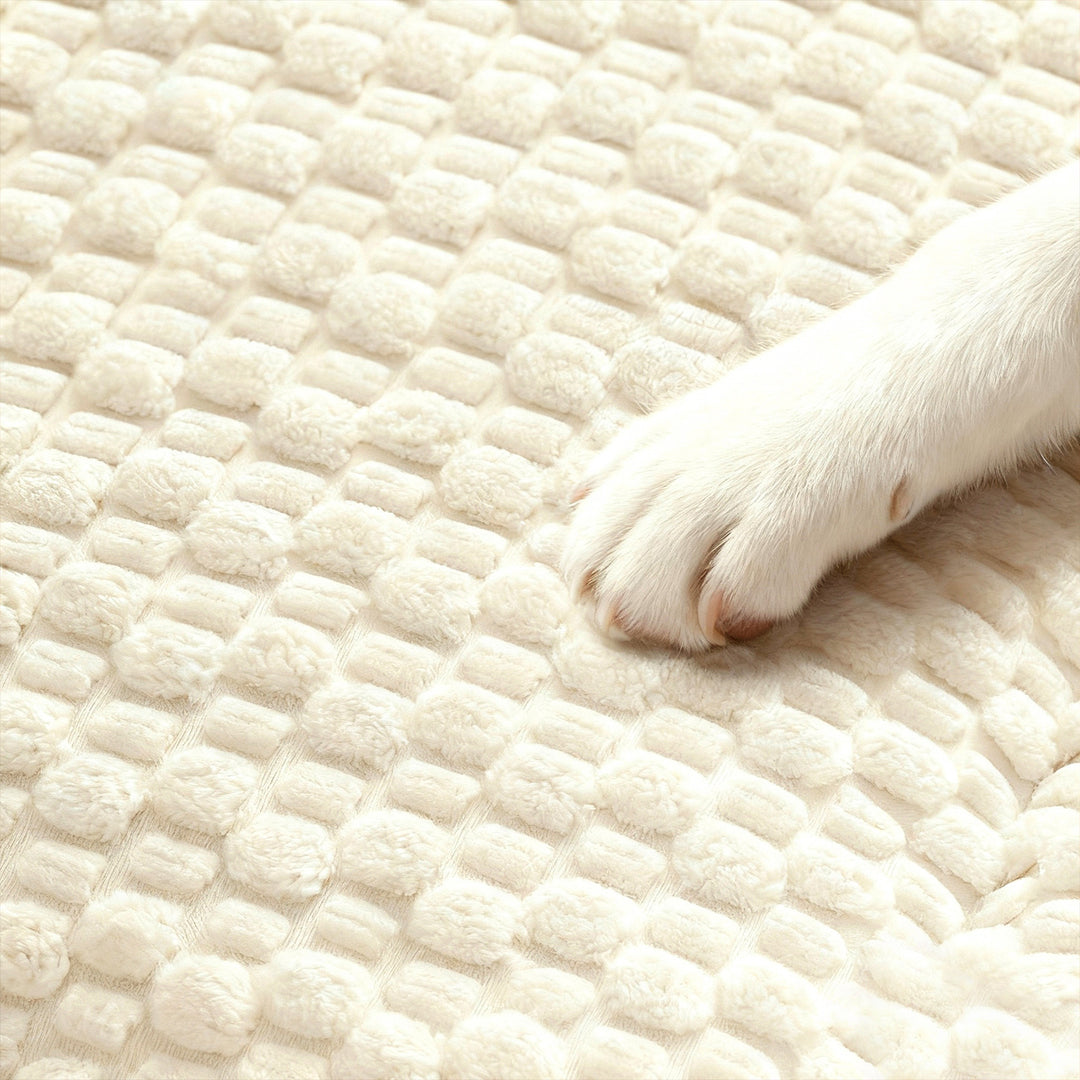 Women's Cozy and Reversible Blanket with High-Quality Surface Texture Bowlift