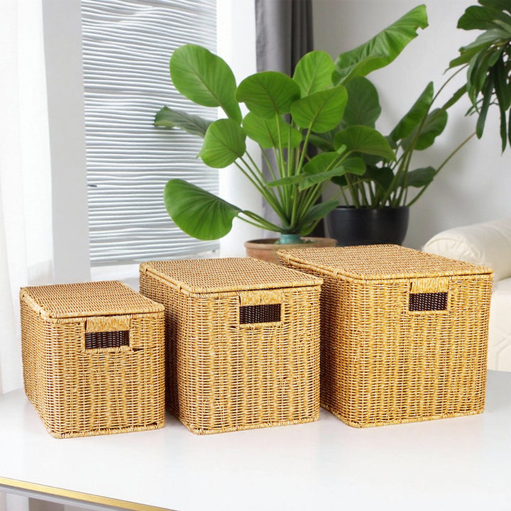 Ladies Generous Storage Basket with Lid Bowlift