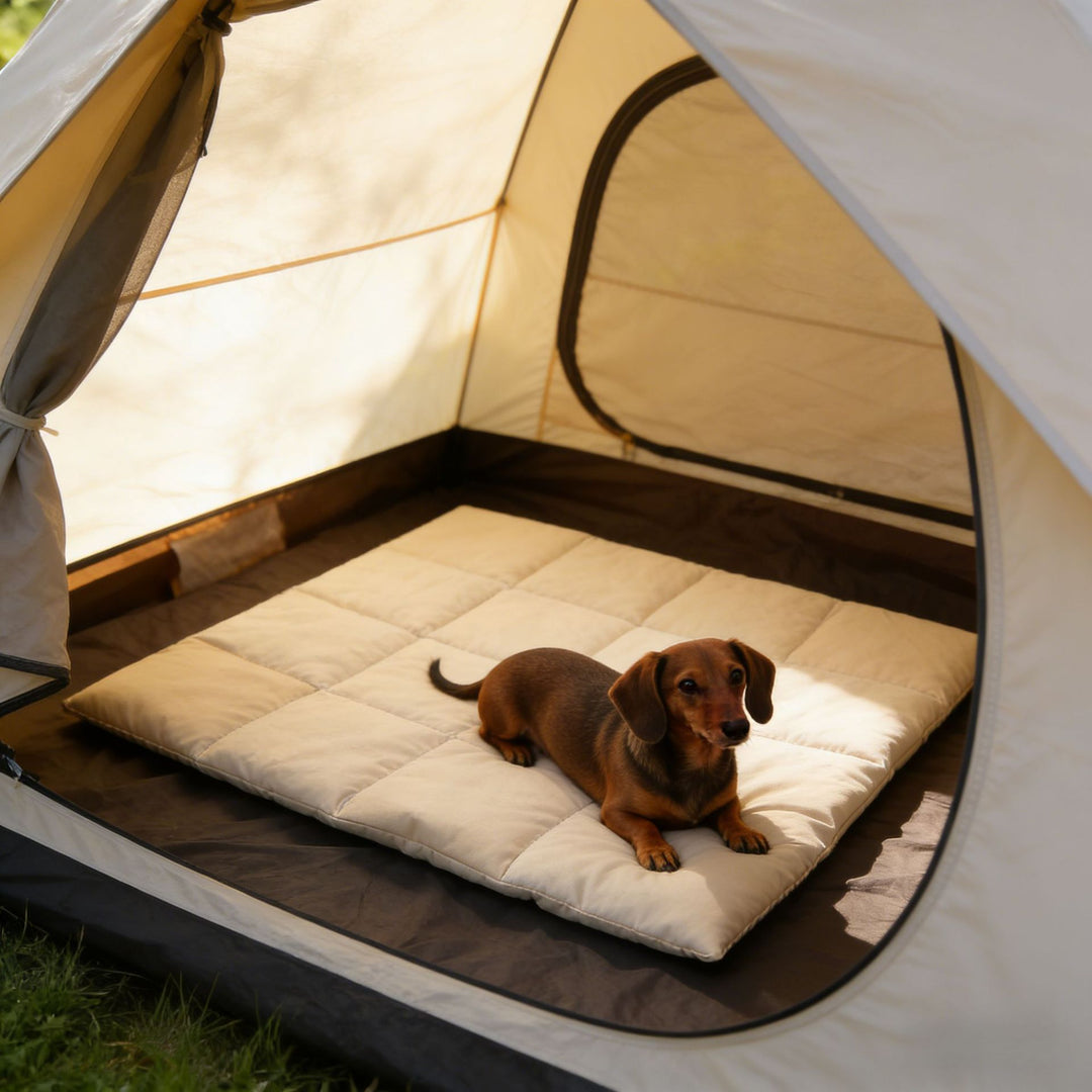 Portable Quilted dog Sleeping Mat