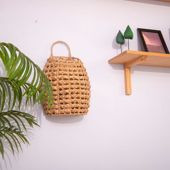 Handwoven Decorative Wall Basket Bowlift