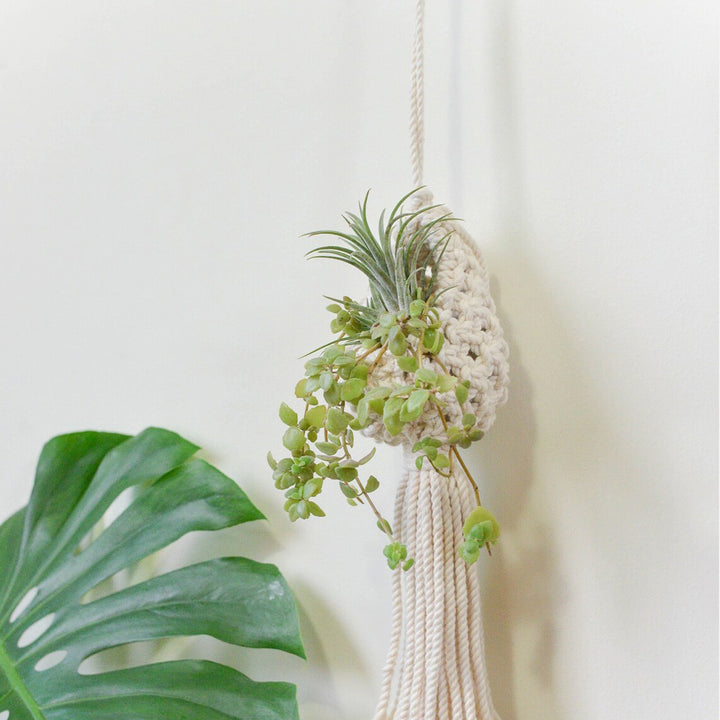 Macrame Hanging Plant Holder with Decorative Tassel Bowlift