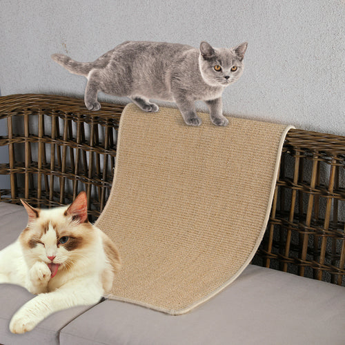 Natural Fiber Indoor Area Rug Bowlift