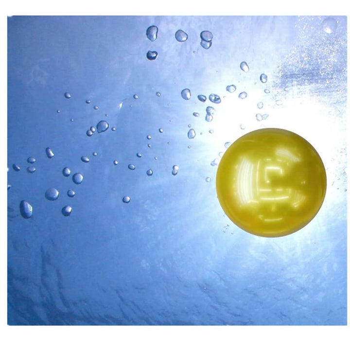Unisex Waterproof Leisure Play Ball with Fruit Motif Bowlift