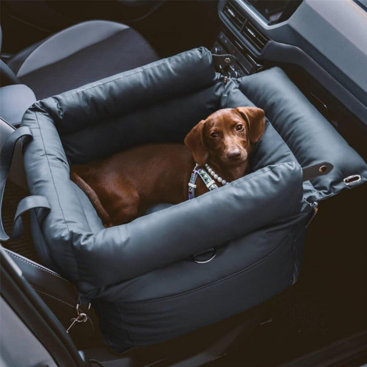 Orthopedic dog bed with removable carrying straps Bowlift