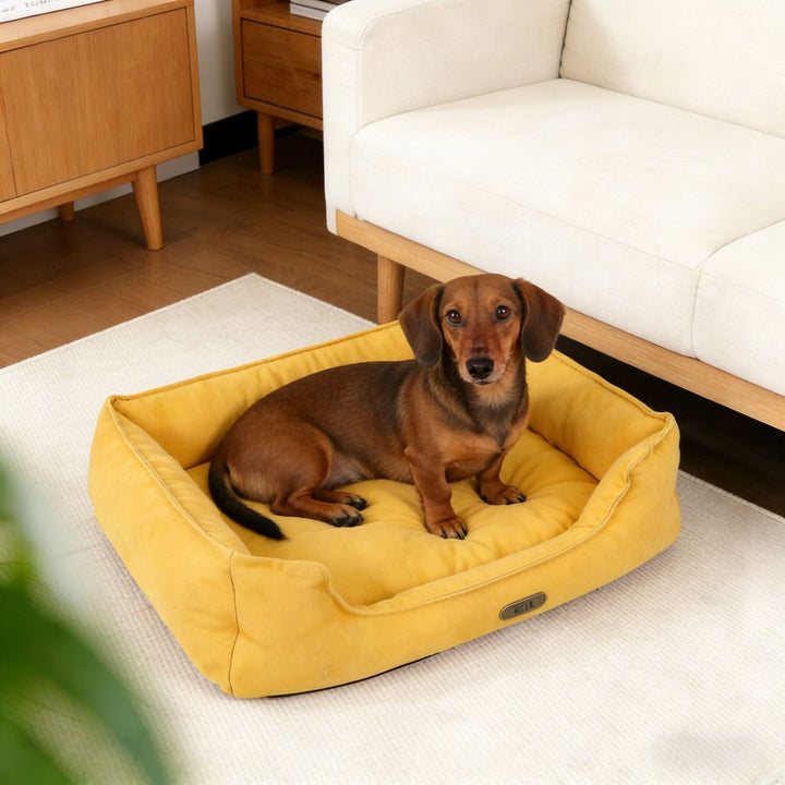 Orthopedic Supportive dog Lounge