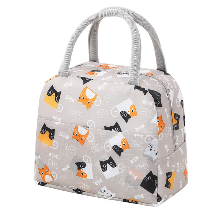 Stylish Insulated Lunch Bowlift