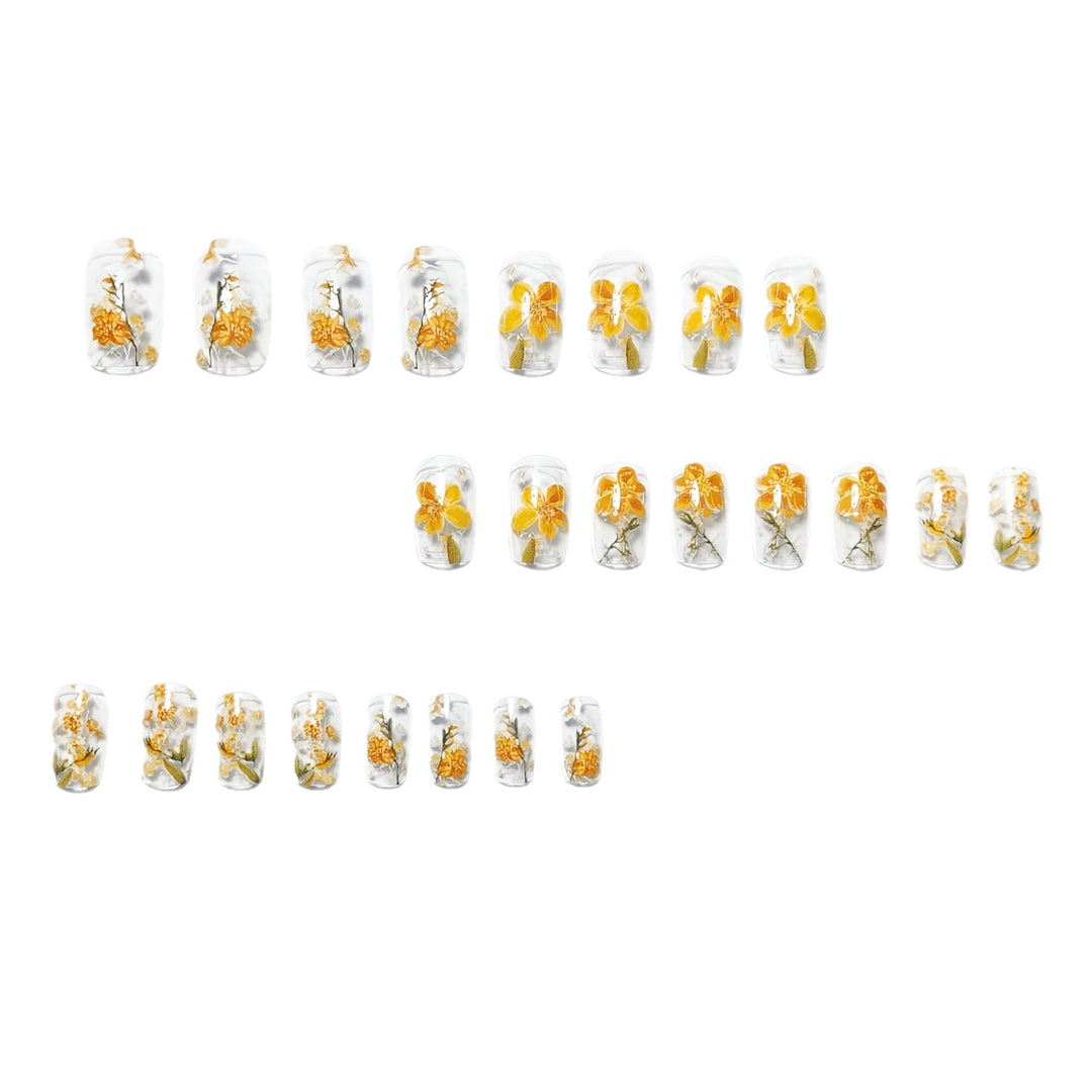 Artificial Nail Set Bowlift