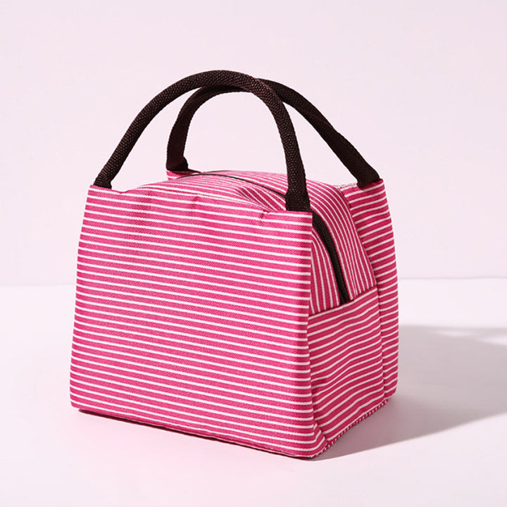 Stylish Insulated Lunch Box Carrier