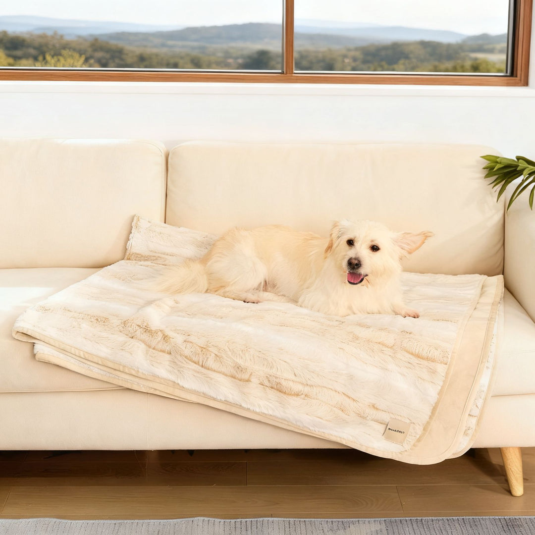 Soft dog Blanket