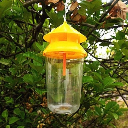 Reusable outdoor insect fly trap with non-toxic bait reservoir and Hanging canopy Bowlift