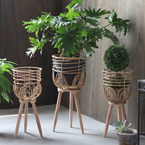 Stylish plant stand made of rattan and wood Bowlift
