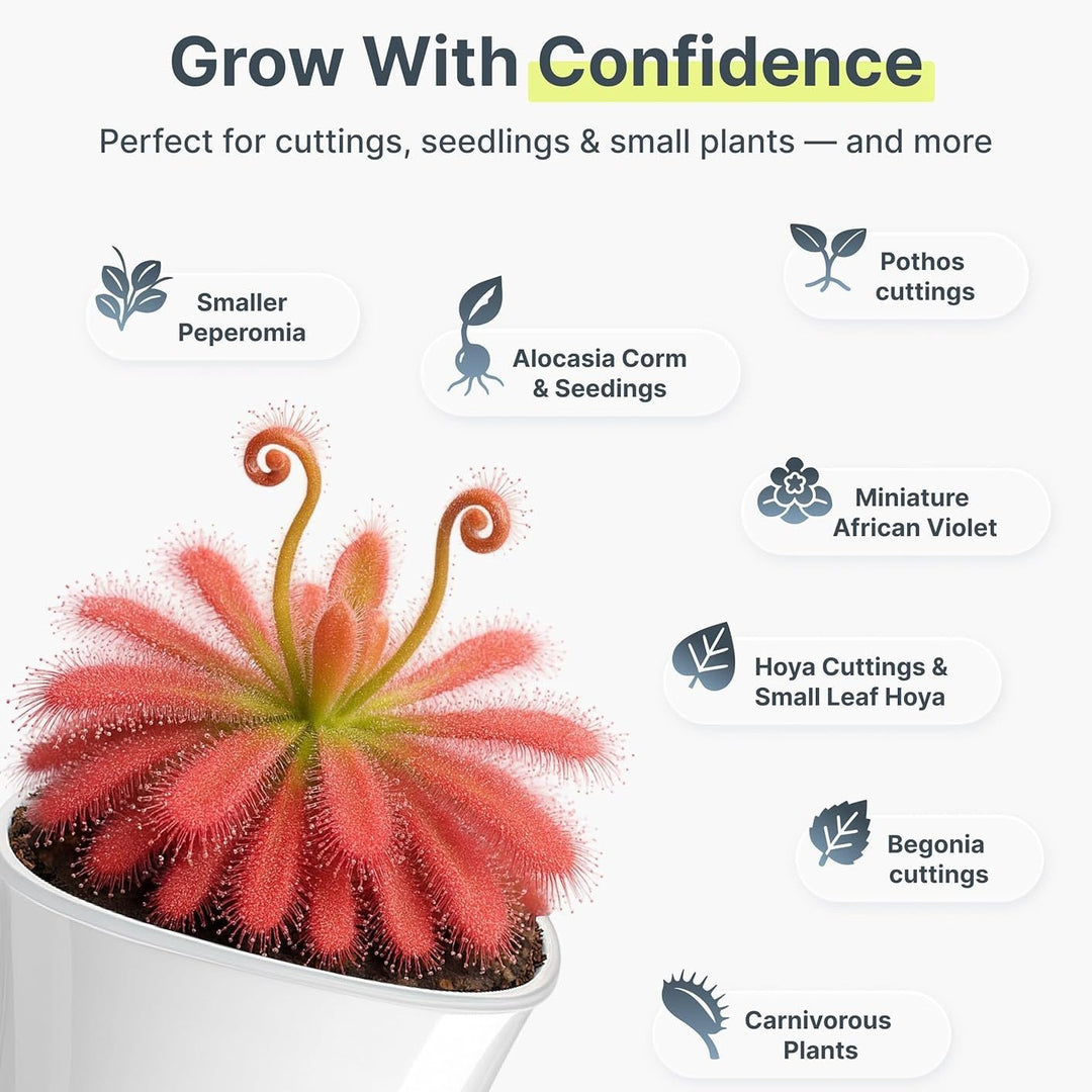 Self-Watering Plant Pot Set Bowlift