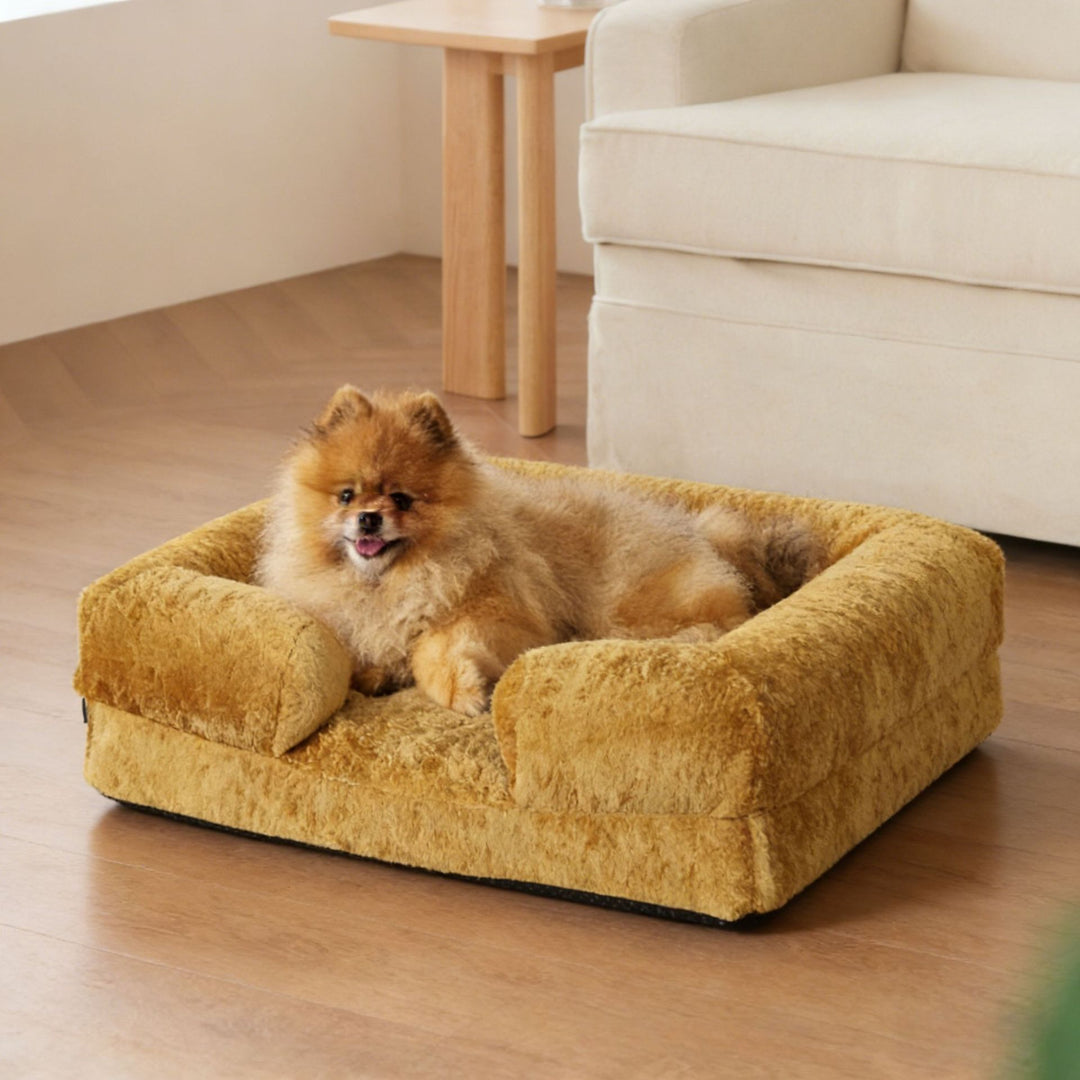 Cozy Orthopedic Support dog Sofa