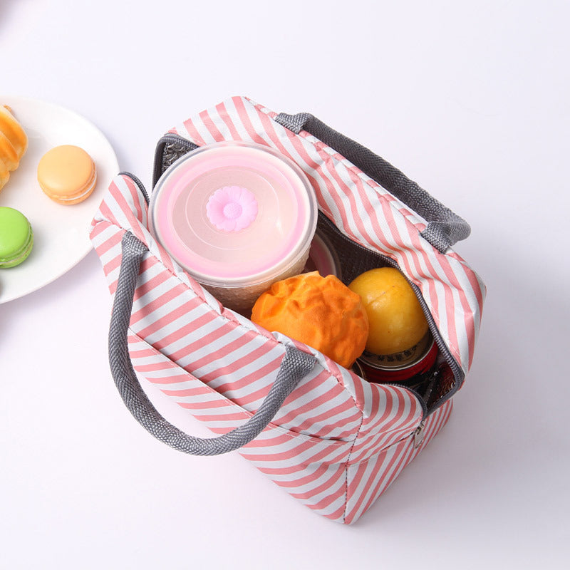 Stylish Insulated Lunch Bowlift