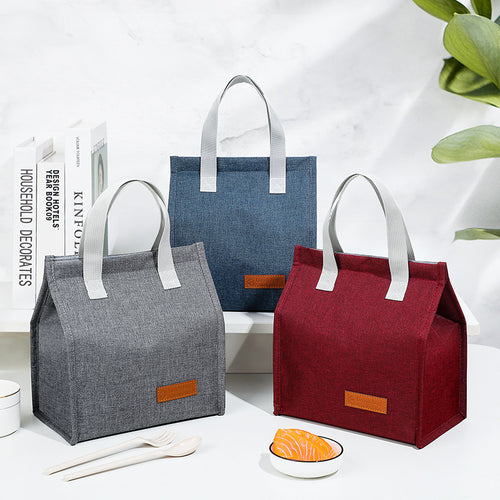 Stylish Insulated Lunch Carrier Bowlift