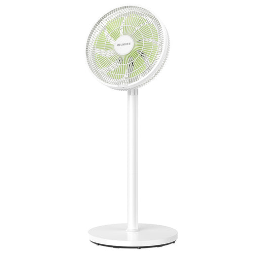 Ladies Stand Fan Bowlift