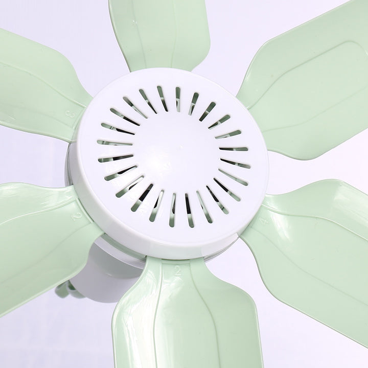 Women's ceiling fan with translucent blades and quiet operation Bowlift