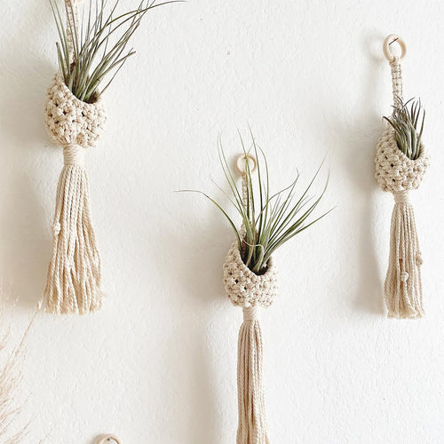 Bohemian Plant Holder Bowlift