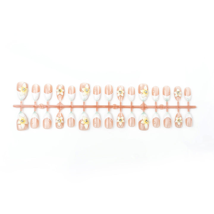 Nail Design Bowlift